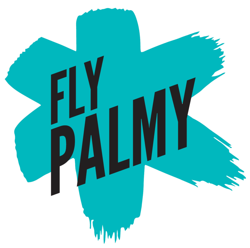 Fly Palmy Logo